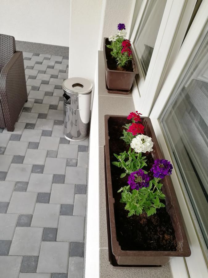 Apartments Airport Inn Dubrave Gornje ภายนอก รูปภาพ